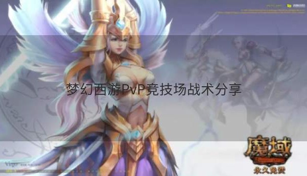 梦幻西游PvP竞技场战术分享