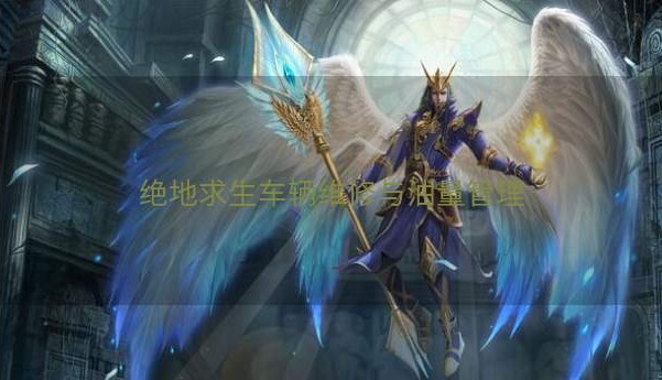 绝地求生车辆维修与油量管理
